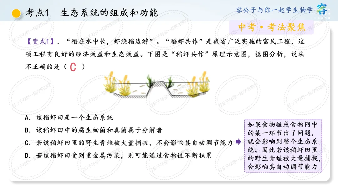 初中生物学中考一轮复习课件《第8讲 生态系统及生态安全》 第14张