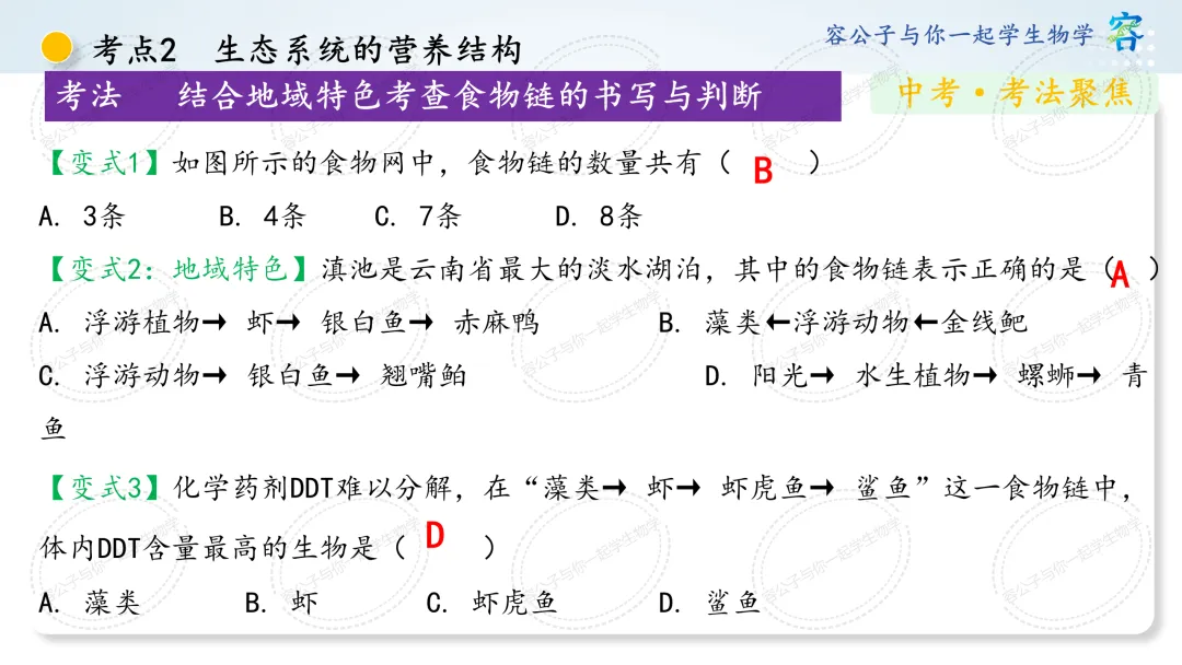 初中生物学中考一轮复习课件《第8讲 生态系统及生态安全》 第27张
