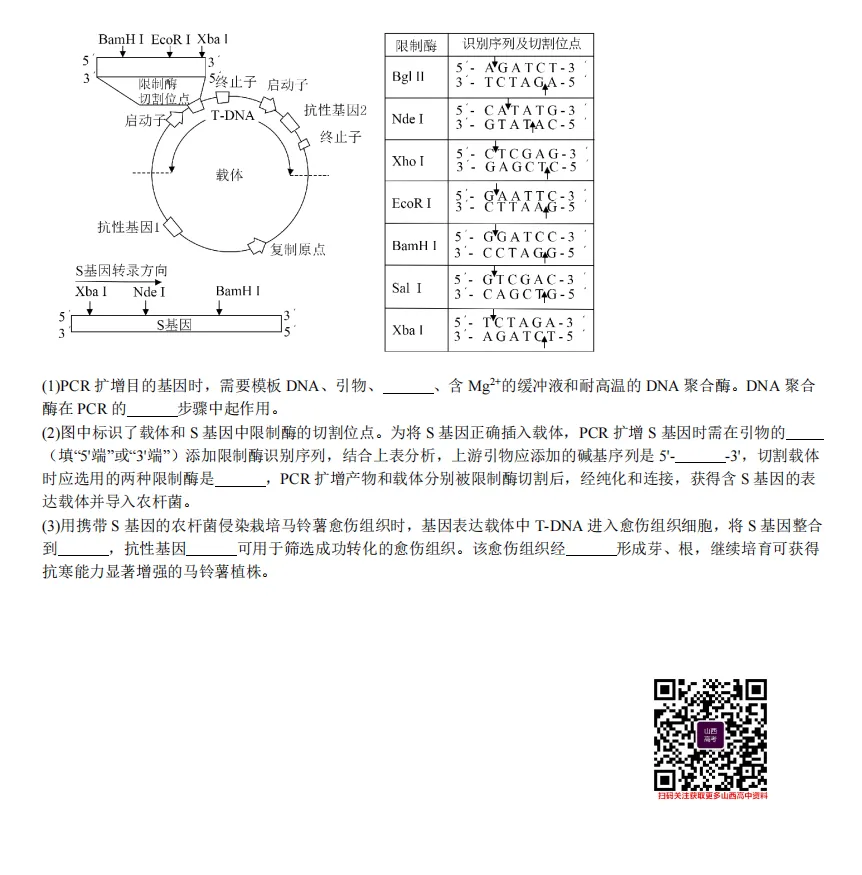 2025年山西高考真题语数英/物化生/史政地试题及答案含解析 第88张