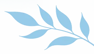 以研促教,决胜中考——江宁区初三英语二轮复习研讨活动在我校顺利开展 第7张