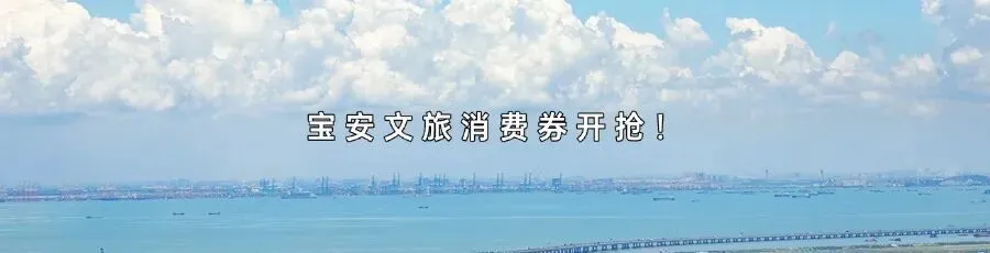 报名|名校长支招,中考志愿这样填,分尽其用! 第12张