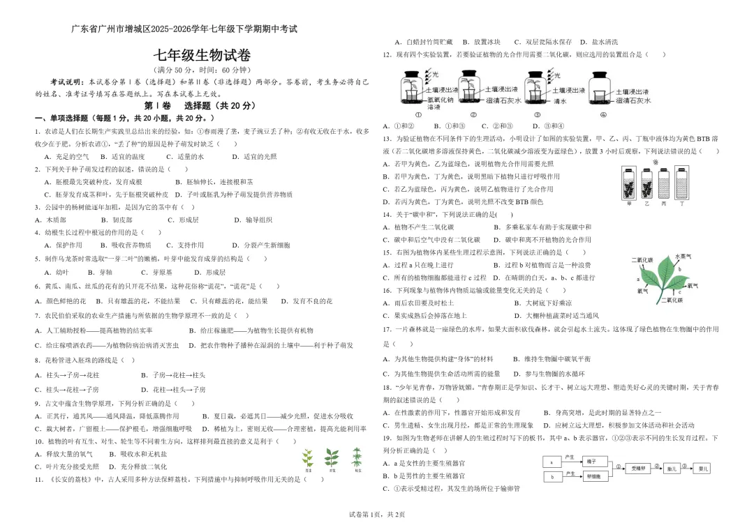期中真题|广州市增城区2025-2026学年七年级下期中考试卷 第9张