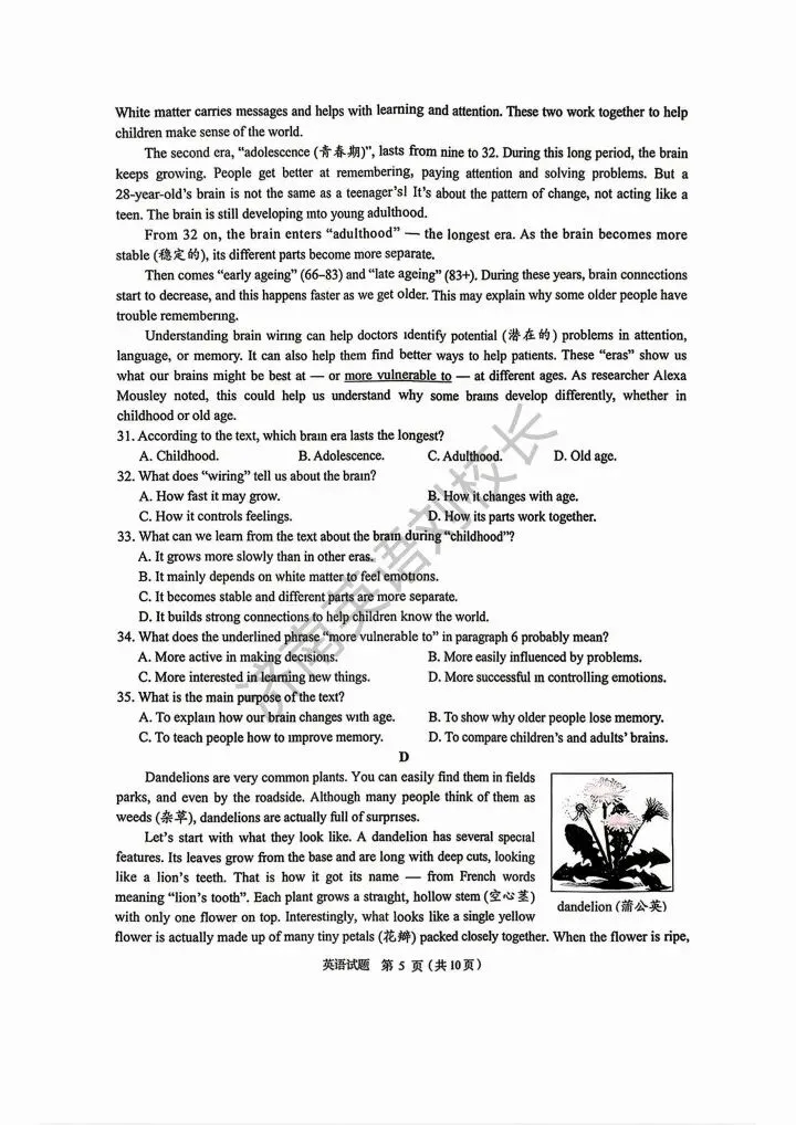 2026年山东省济南市市中区区中考二模英语真题【新题出炉!!!】 第6张