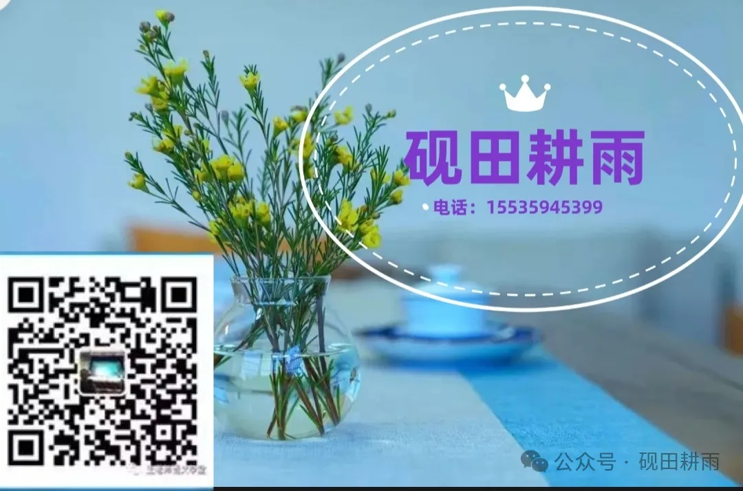 中考复习: 莫做吃力不讨好的“无用功”! 第3张