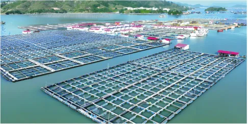 福建泉州市2026年初中毕业班模拟考试八年级地理试卷(原卷版) 第12张