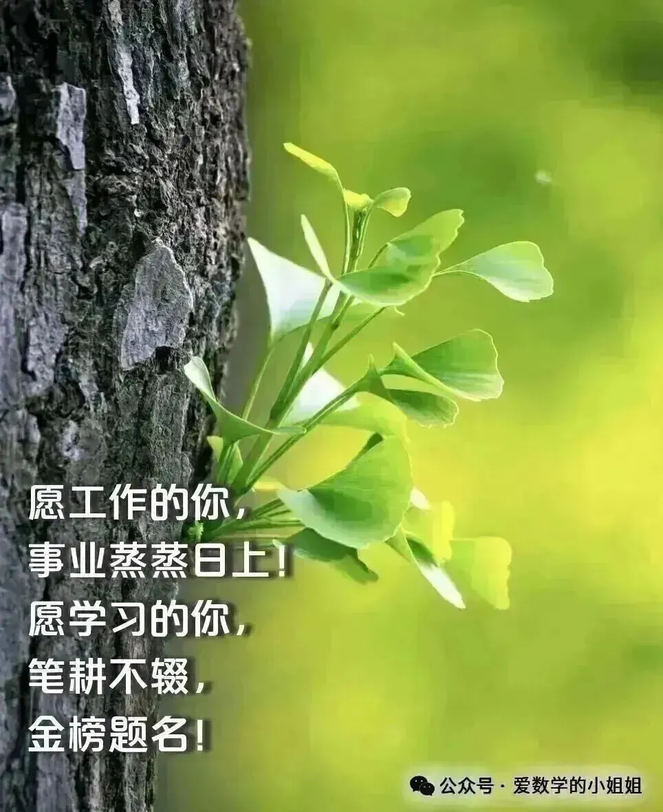 2026年5月山东省各地市中考数学二模真题试卷更新至15份+,涵盖全省各地市,权威模拟精准备考!持续更新……文末免费下载 第11张 2026年5月山东省各地市中考数学二模真题试卷更新至15份+,涵盖全省各地市,权威模拟精准备考!持续更新……文末免费下载 第11张