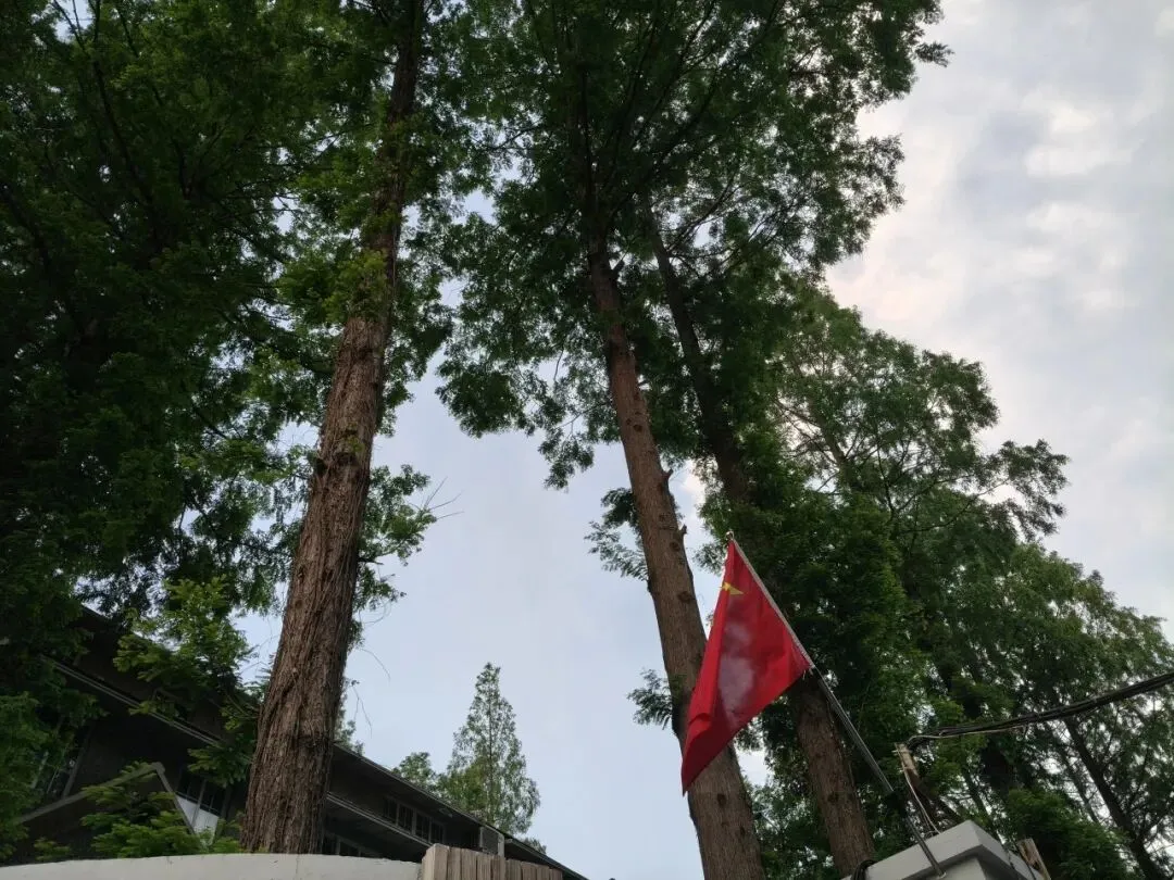 上海中考填志愿,低分别错过“中职自主招生” 第3张