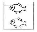 浙江中考科学——物理部分怎么考? 第5张