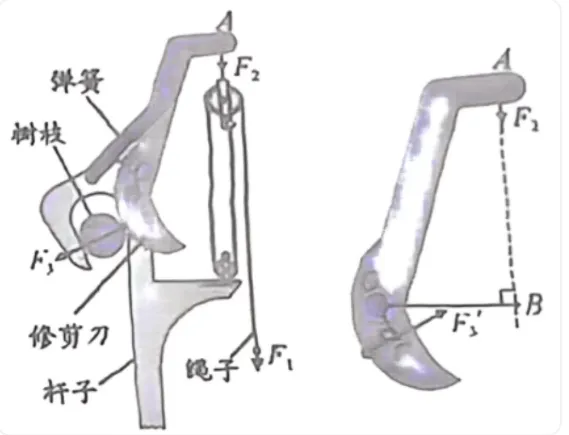 浙江中考科学——物理部分怎么考? 第14张
