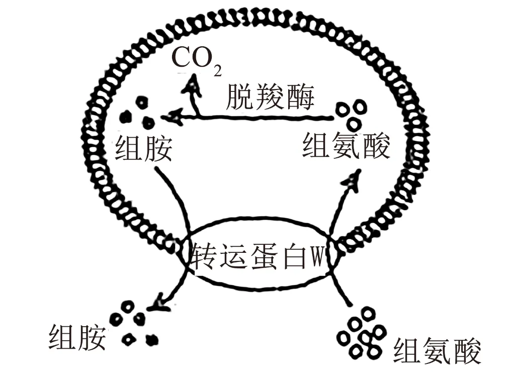 2025年四川省高考生物学真题和答案(附各省下载) ⊙ 第6张
