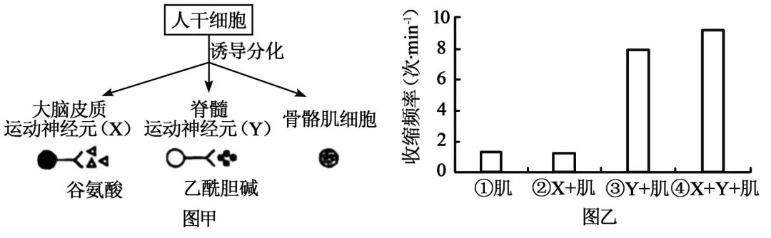 2025年四川省高考生物学真题和答案(附各省下载) ⊙ 第11张