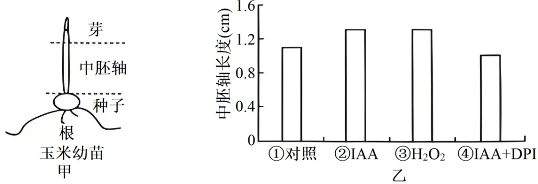 2025年四川省高考生物学真题和答案(附各省下载) ⊙ 第12张