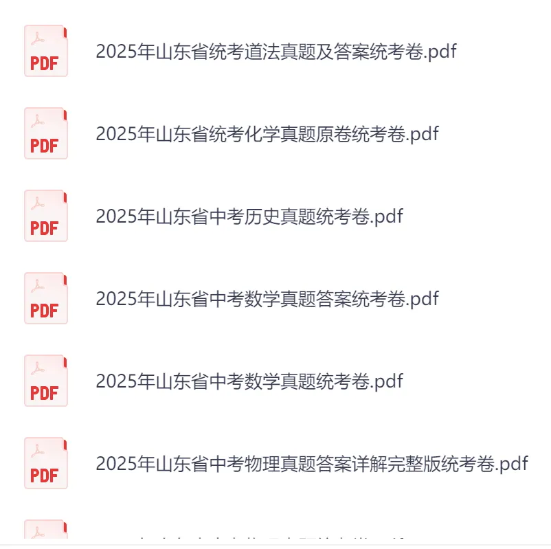2025年山东省各市中考真题+答案(完整版PDF可打印) 第5张