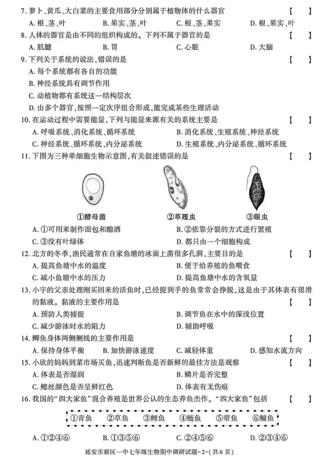 2026七年级下学期期中考试生物试卷(含答案) 第2张