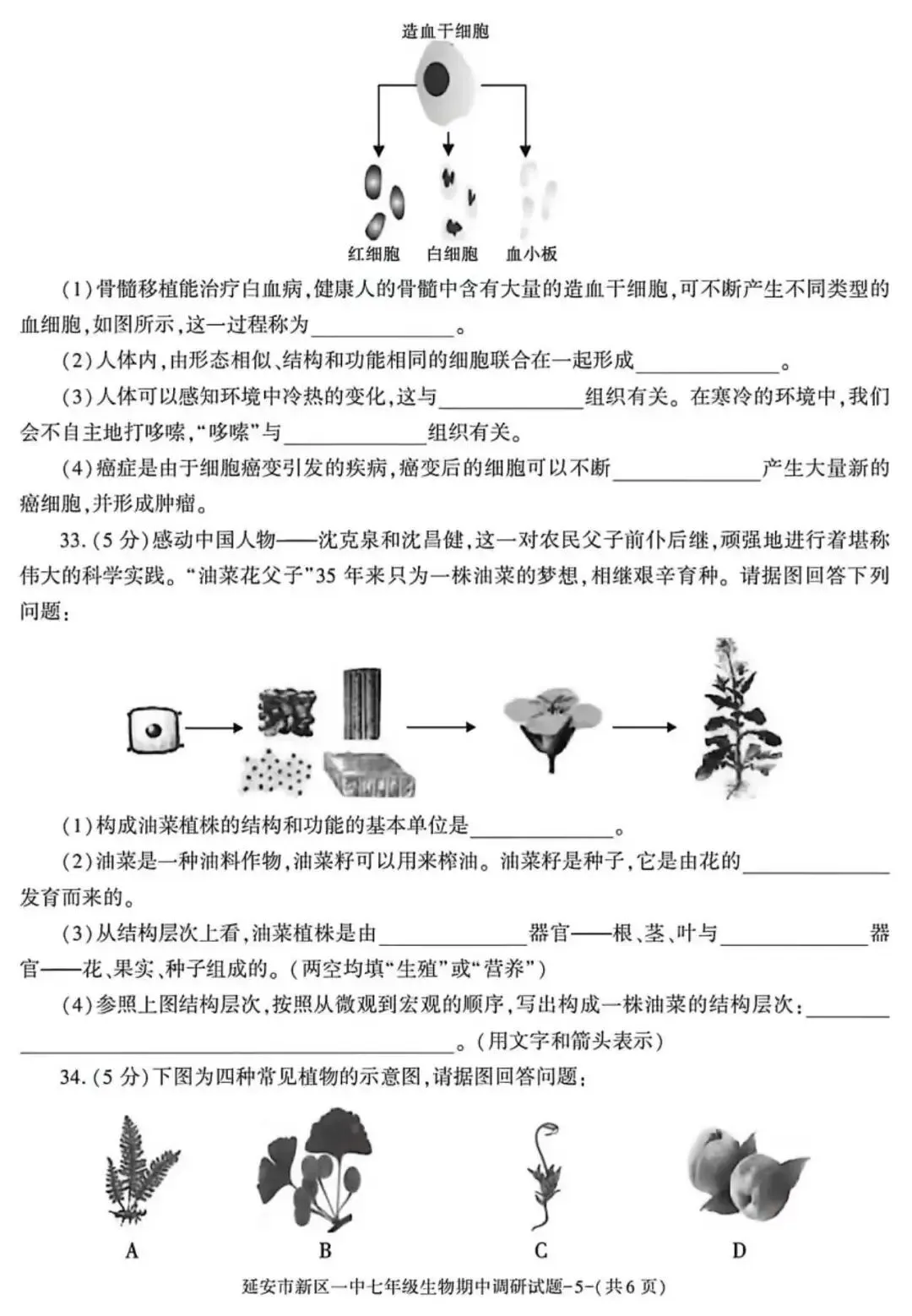 2026七年级下学期期中考试生物试卷(含答案) 第5张