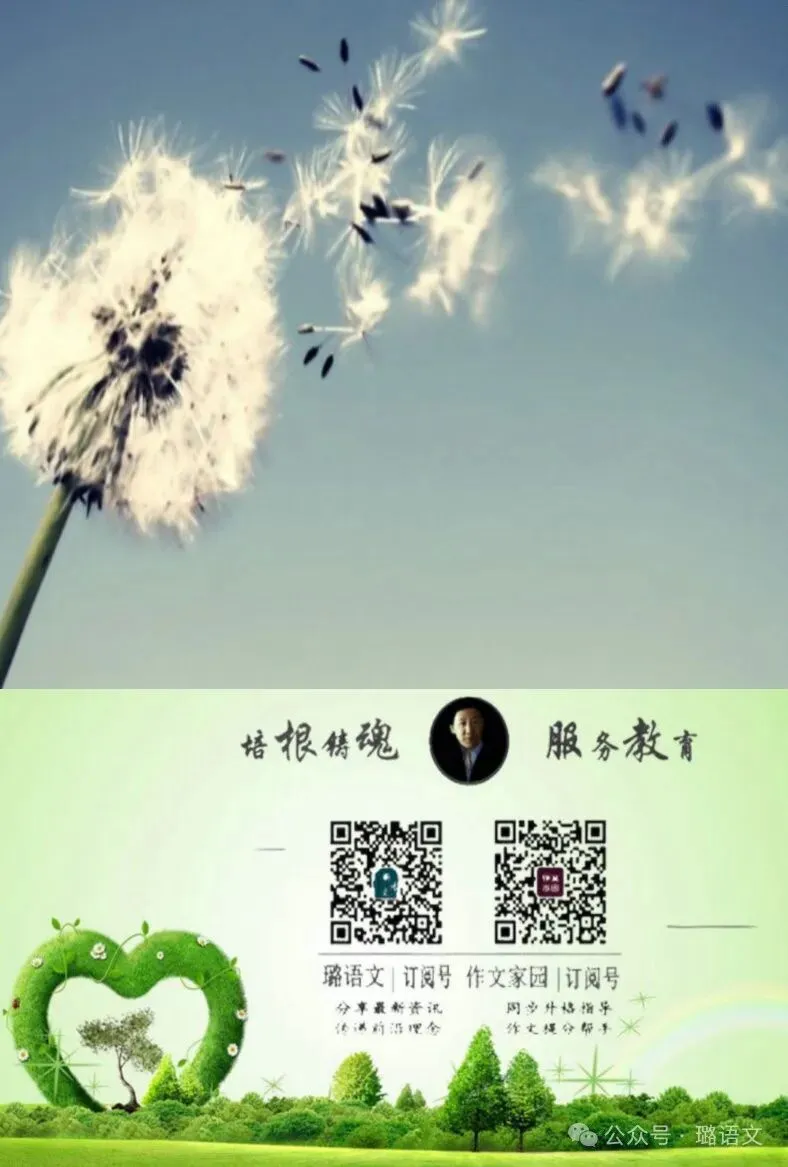 【璐语文】中考阅读理解答题方法与技巧 第4张