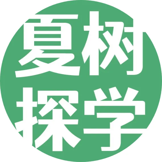 中考后转DSE还是A Level?英文3级,是很多内地学生绕不过去的门槛 第3张