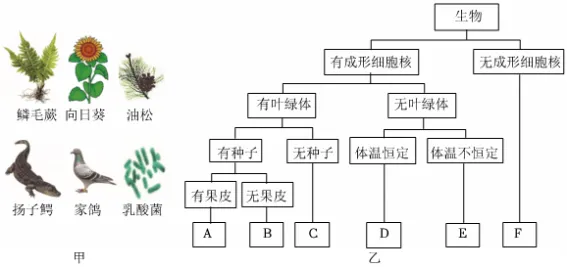 2026年生物中考模拟试卷2 第8张