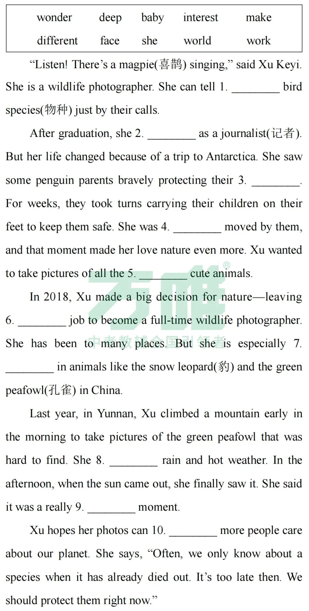 黑白卷团队预测 | 2026中考英语必考知识&题目(可下载打印) 第22张