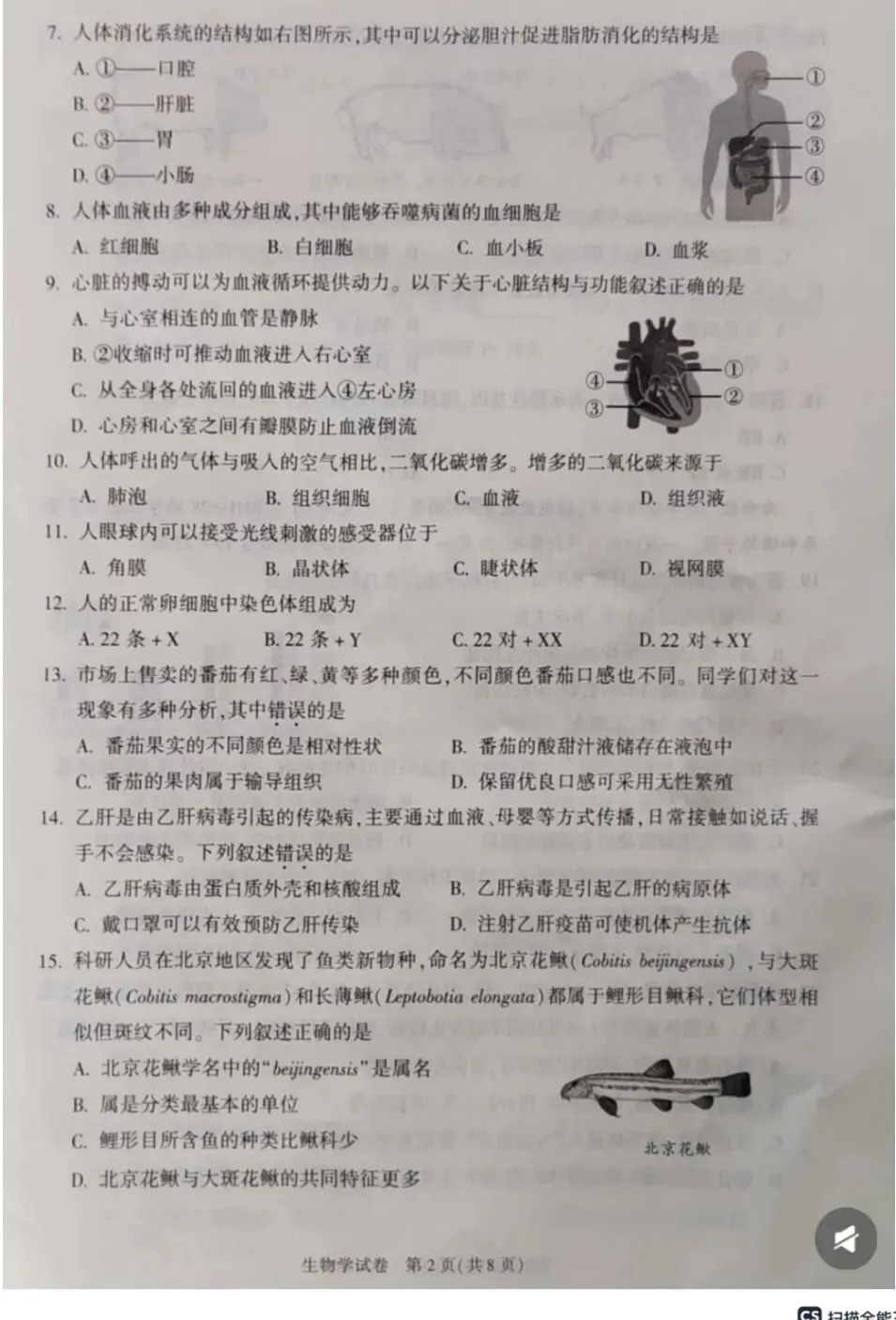 2025年北京市中考真题||北京市中考真题试卷及答案解析、PDF版免费分享 第12张