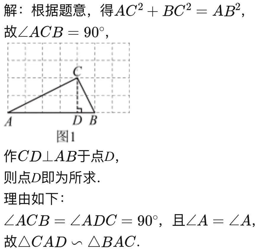 中考网格探究专题 第16张