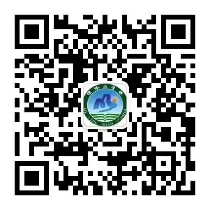【温雅育人+中考模拟】以考促学 以评提质——初三年级学业水平暨质量分析会圆满完成 第10张