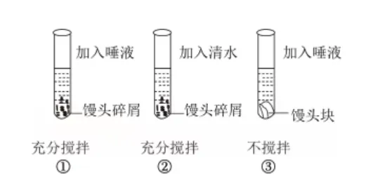 试卷:2026生物中考复习模拟试卷(5) 第4张 试卷:2026生物中考复习模拟试卷(5) 第4张