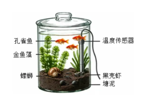 试卷:2026生物中考复习模拟试卷(5) 第6张 试卷:2026生物中考复习模拟试卷(5) 第6张