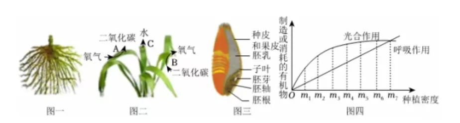 试卷:2026生物中考复习模拟试卷(5) 第10张 试卷:2026生物中考复习模拟试卷(5) 第10张