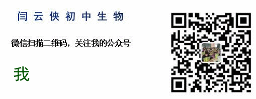 试卷:2026生物中考复习模拟试卷(5) 第13张 试卷:2026生物中考复习模拟试卷(5) 第13张