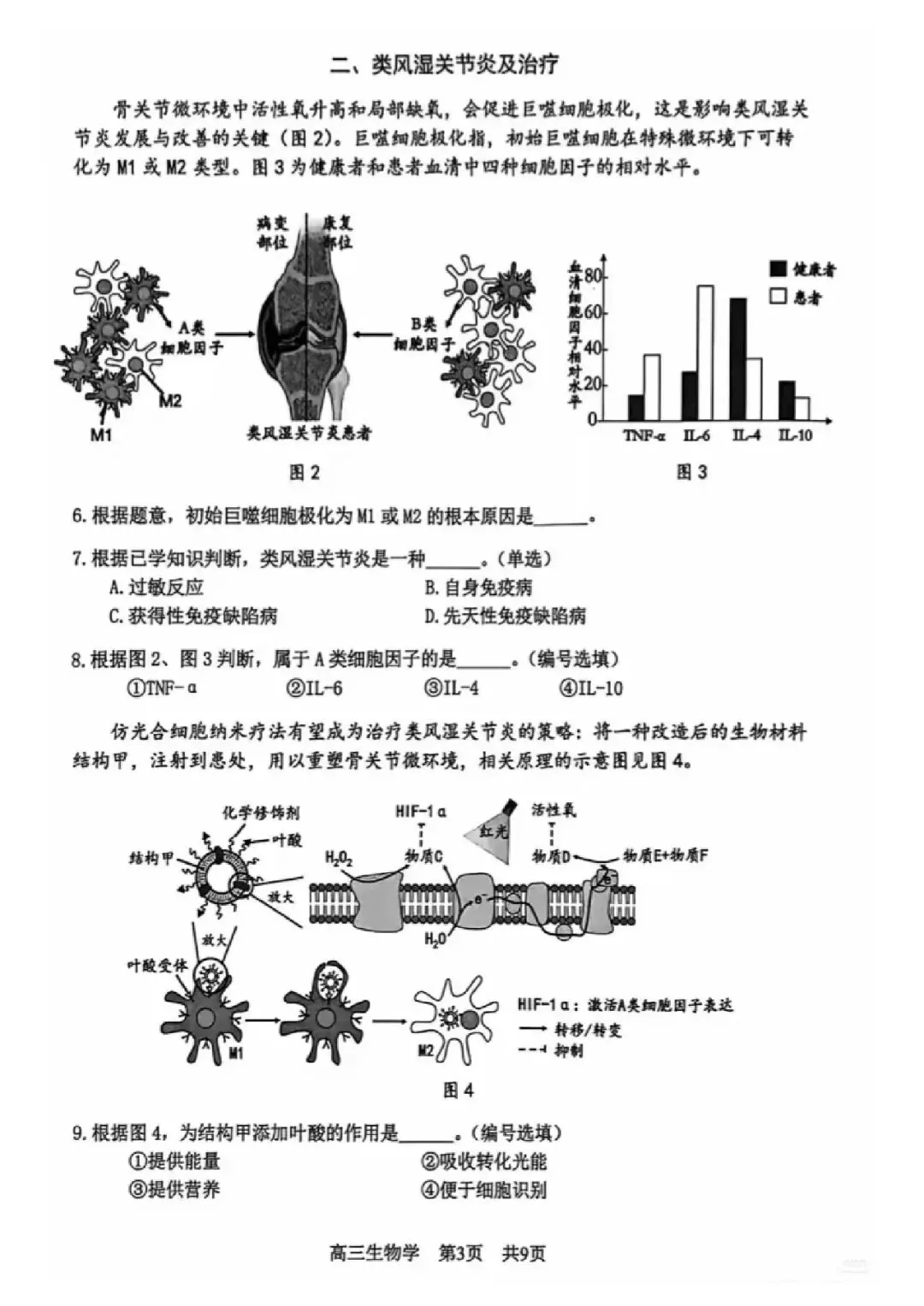 2026届松江区高三二模生物试卷 第3张