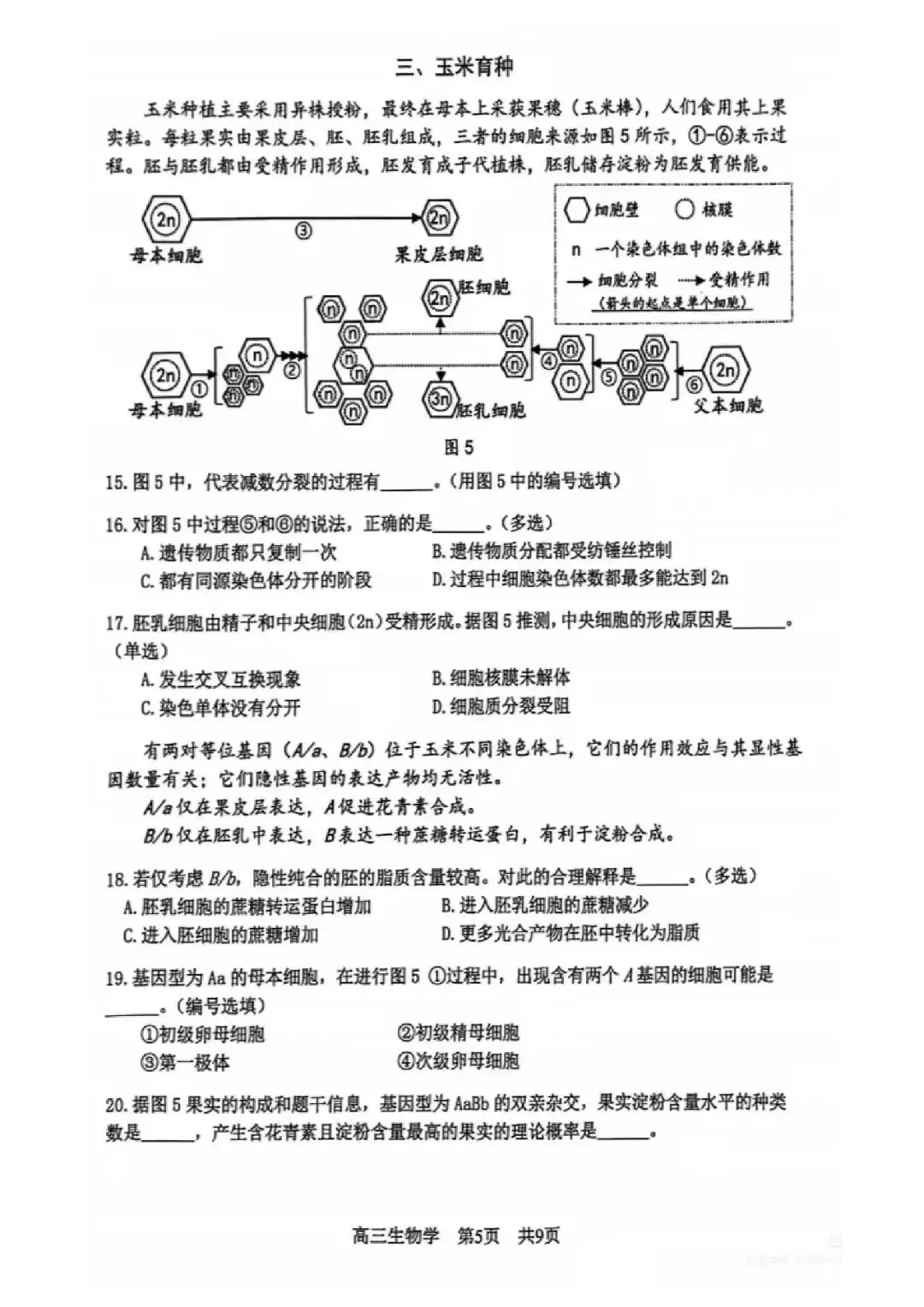 2026届松江区高三二模生物试卷 第5张