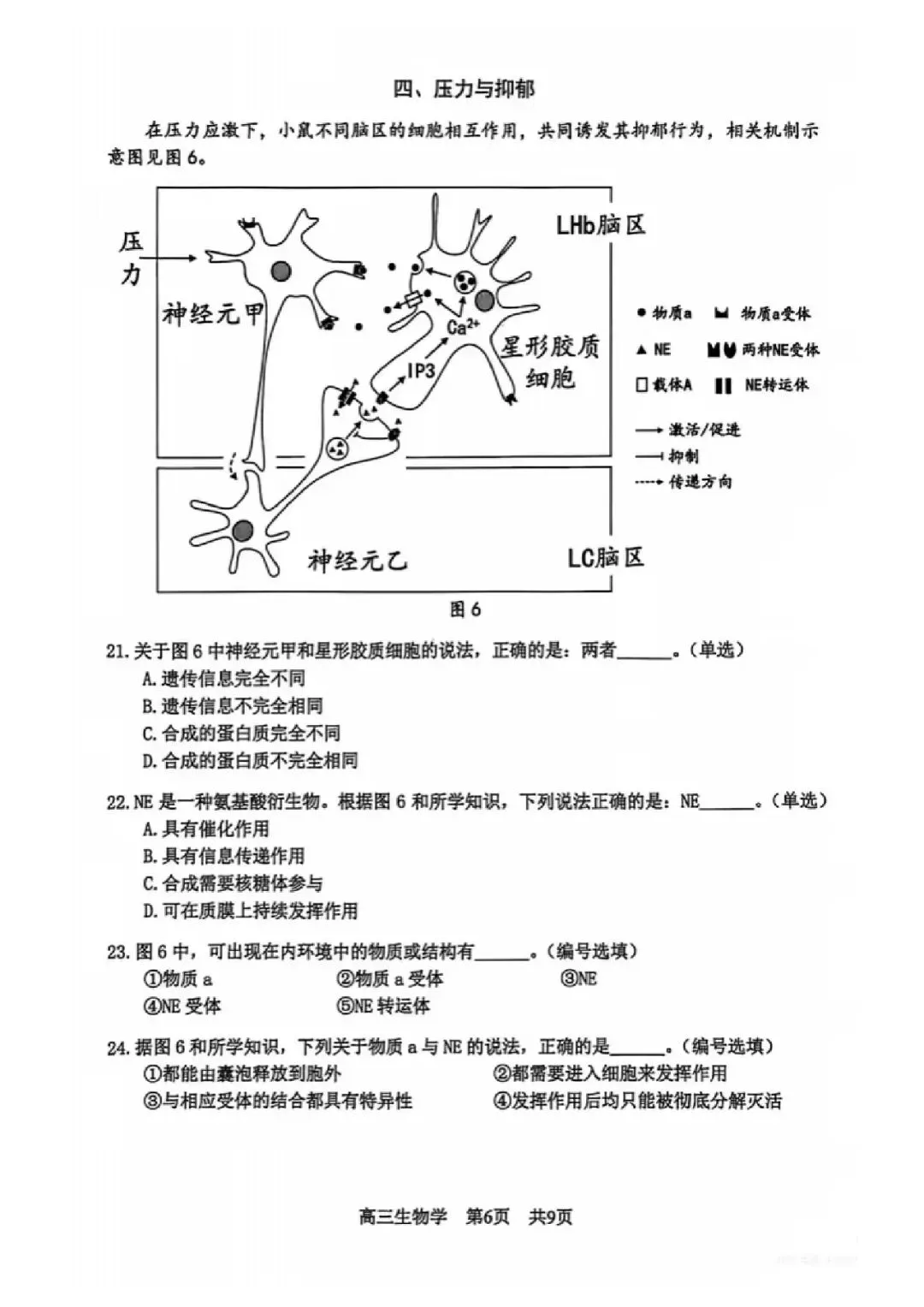 2026届松江区高三二模生物试卷 第6张