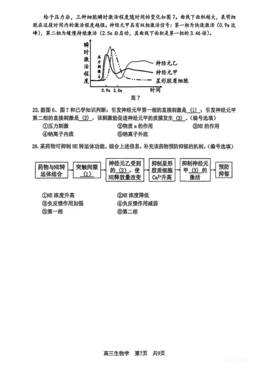 2026届松江区高三二模生物试卷 第7张