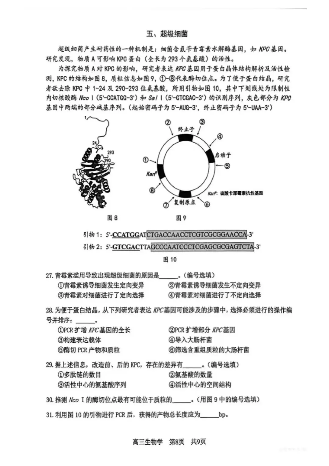 2026届松江区高三二模生物试卷 第8张