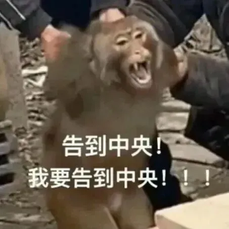 康小瑜老师亲编《26年注安10年真题精解》,限时限量领! 第2张