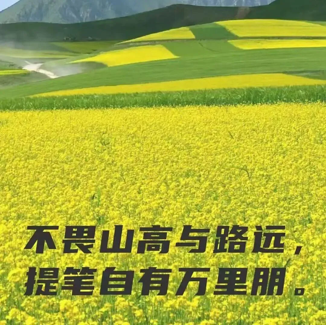 2026年中考倒计时38天——从模拟试题窥探历史复习方向 第12张