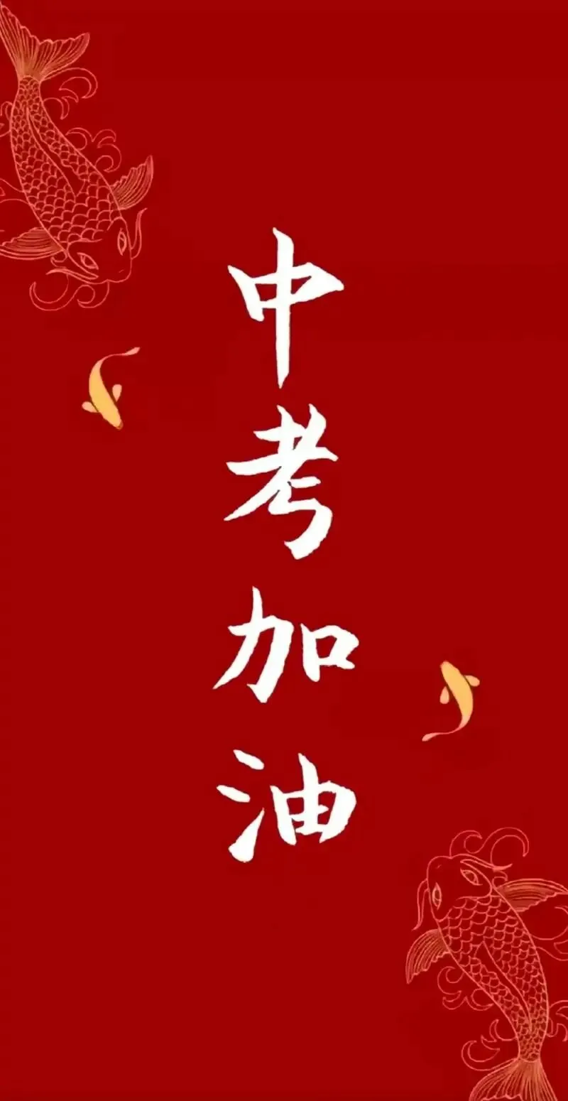 社长分享——我的750+的中考备考心得 第2张