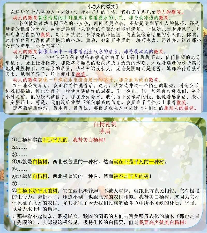 中考作文写作提升—点题要明,扣题要紧! 第10张