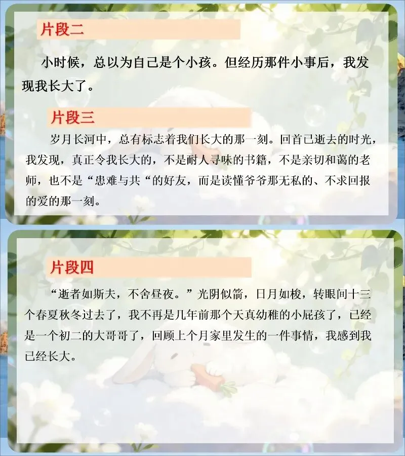 中考作文写作提升—点题要明,扣题要紧! 第16张