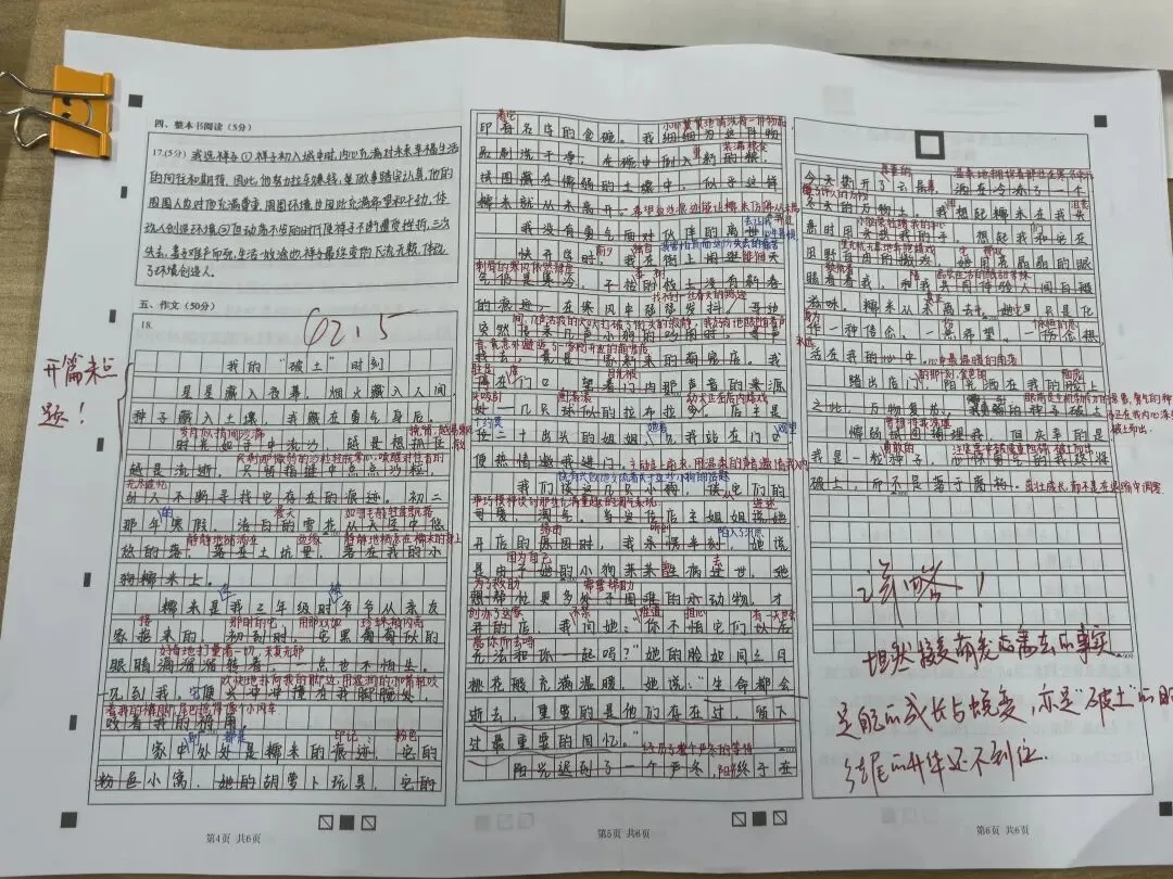 26年中考一模作文《我的“破土”时刻》批改记录和范文 第19张
