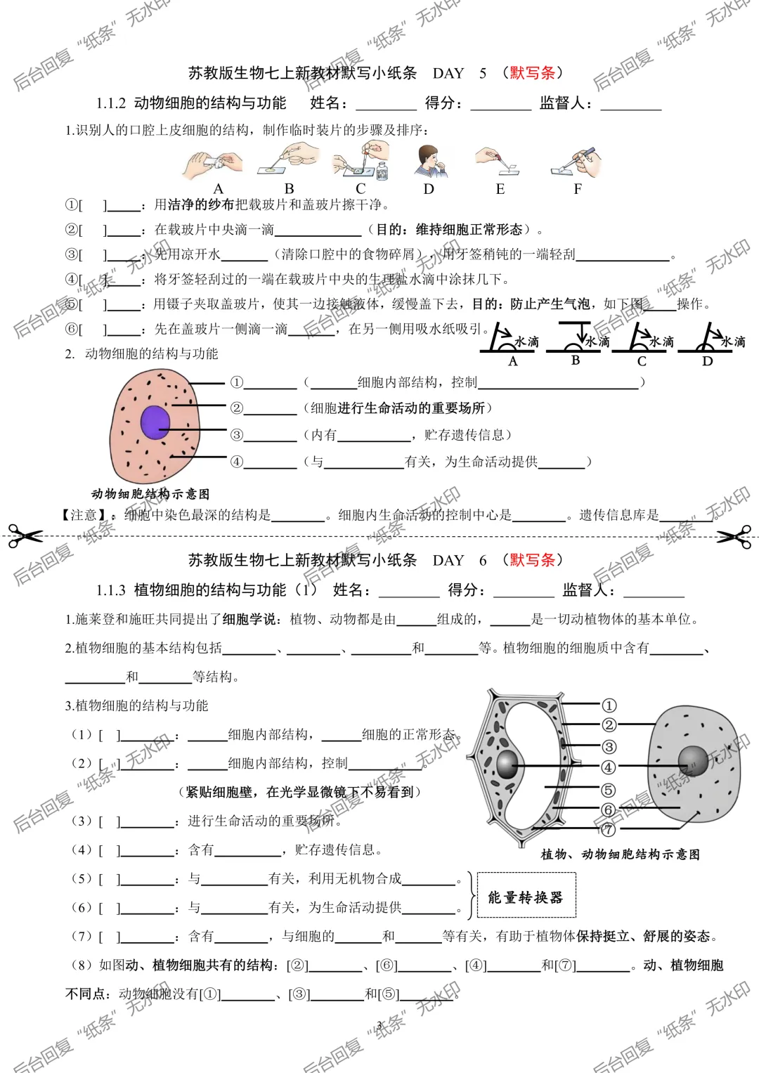 【1】2026初中生物七年级上册中考默写小纸条 第3张