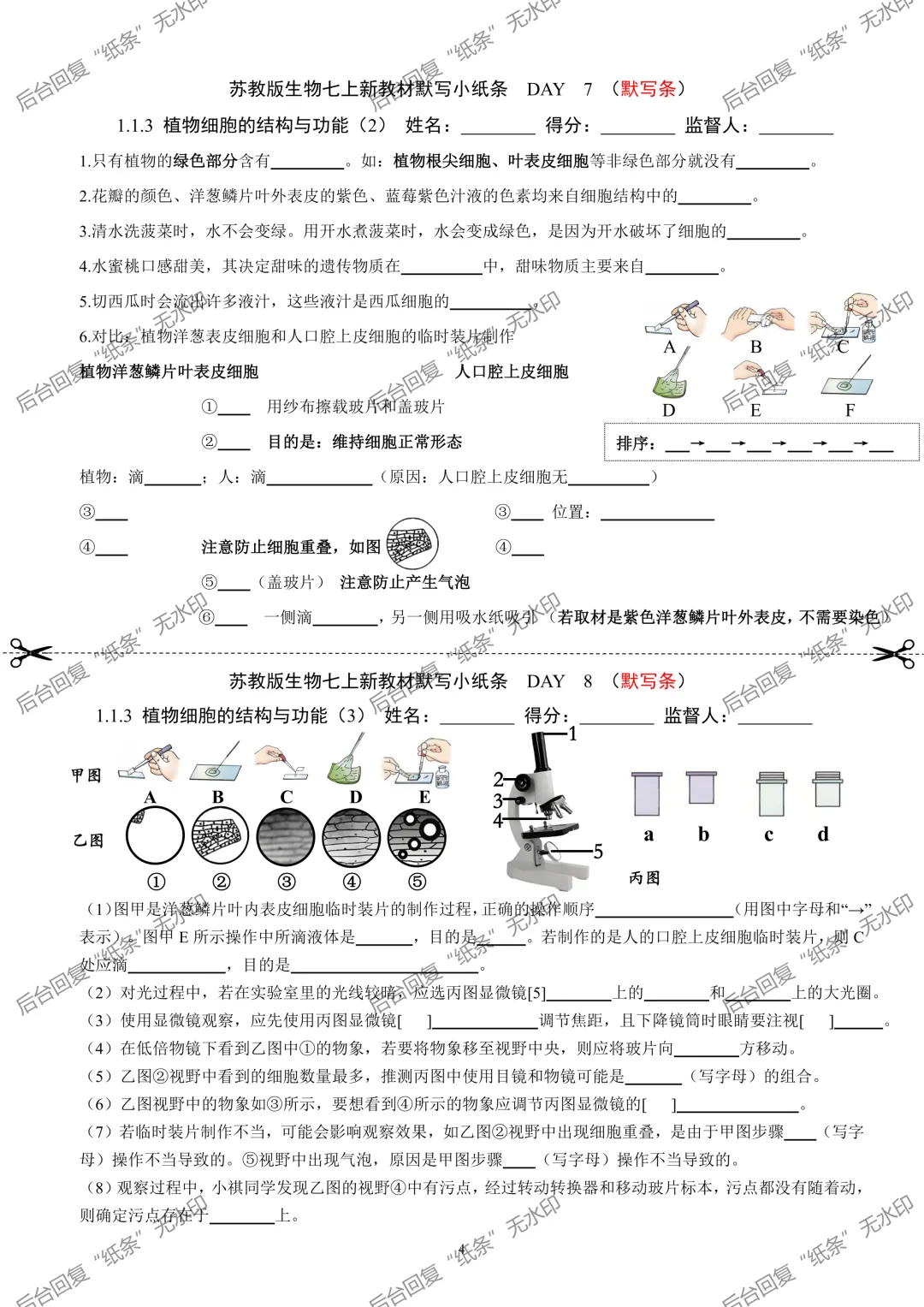 【1】2026初中生物七年级上册中考默写小纸条 第4张