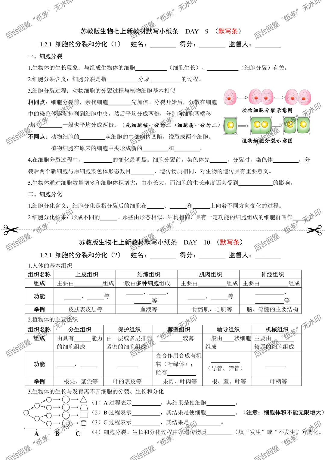 【1】2026初中生物七年级上册中考默写小纸条 第5张