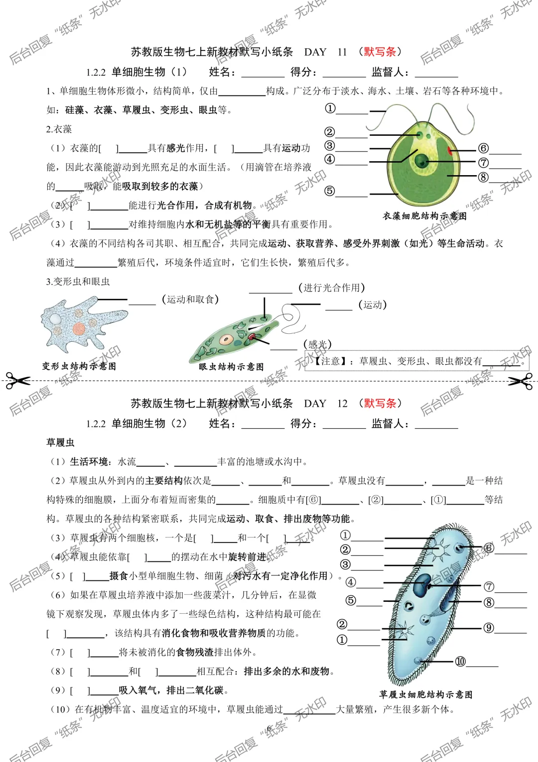 【1】2026初中生物七年级上册中考默写小纸条 第6张