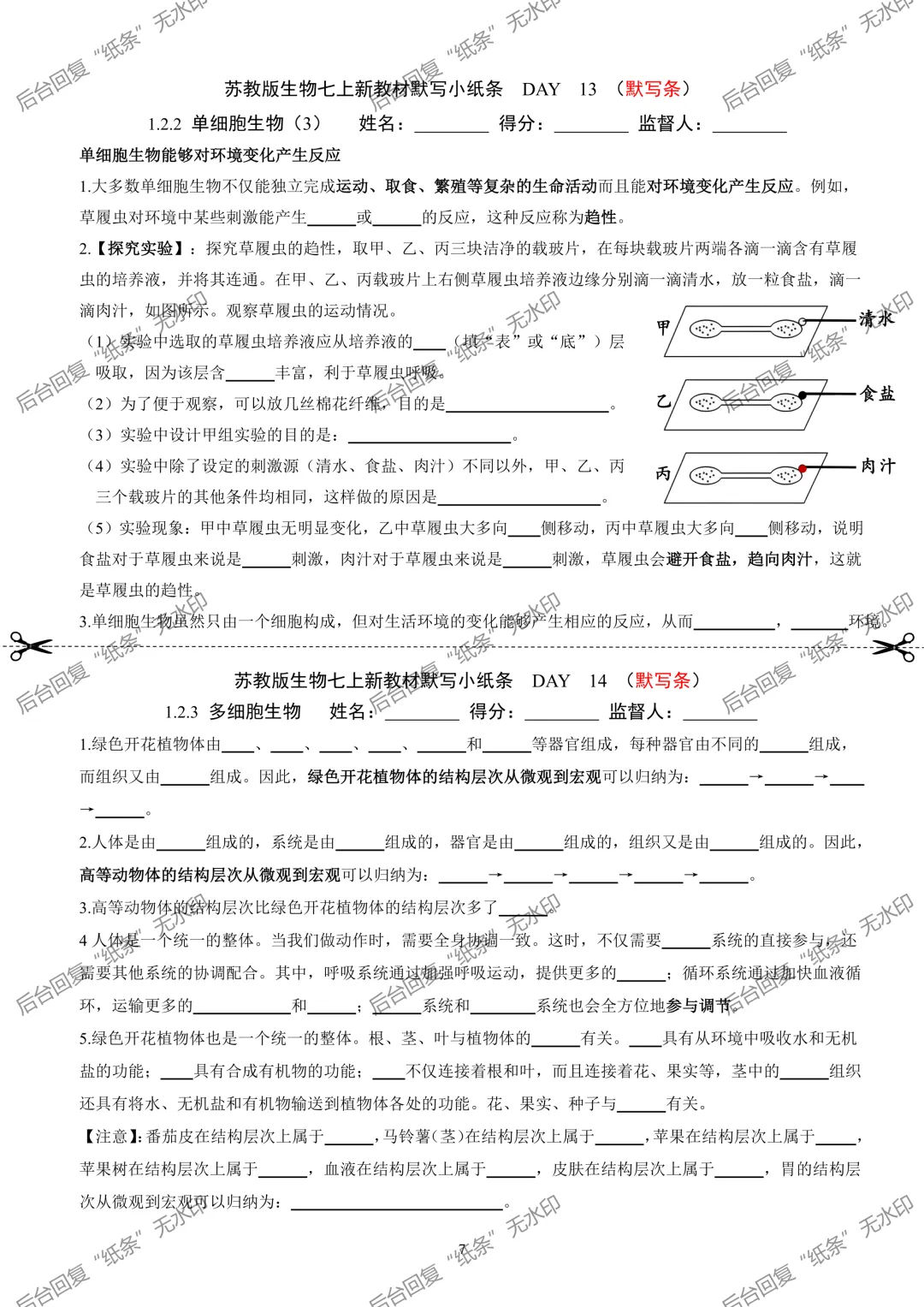 【1】2026初中生物七年级上册中考默写小纸条 第7张