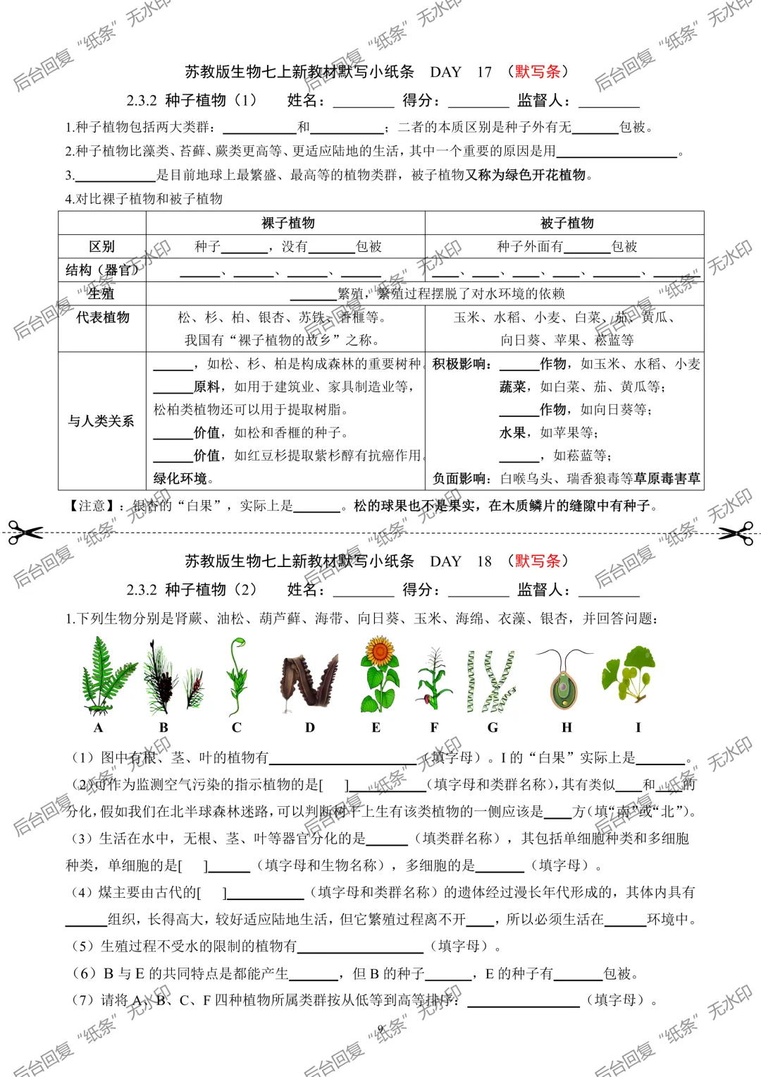 【1】2026初中生物七年级上册中考默写小纸条 第9张
