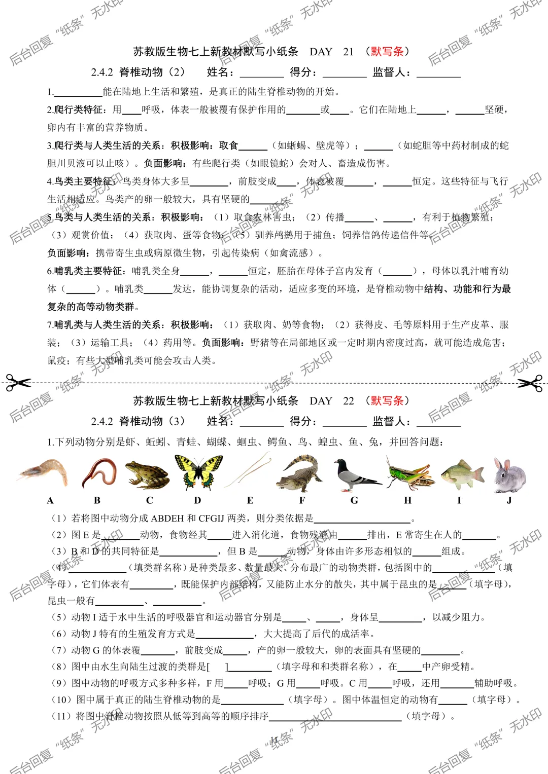 【1】2026初中生物七年级上册中考默写小纸条 第11张