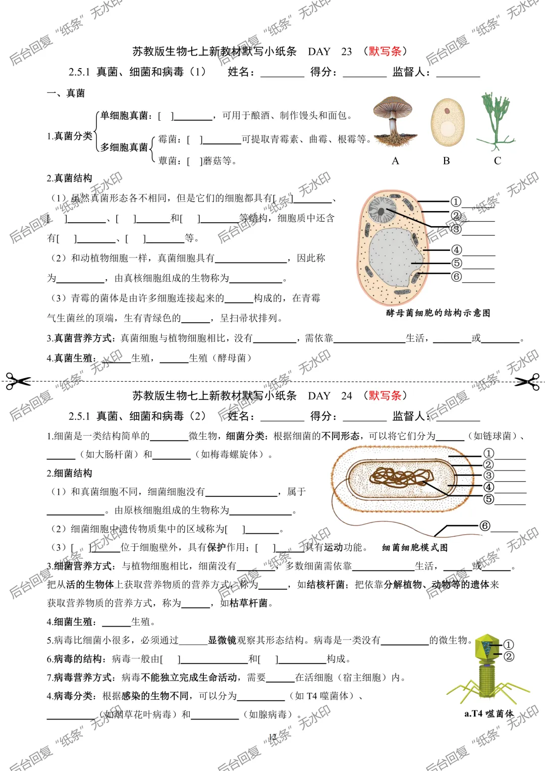 【1】2026初中生物七年级上册中考默写小纸条 第12张