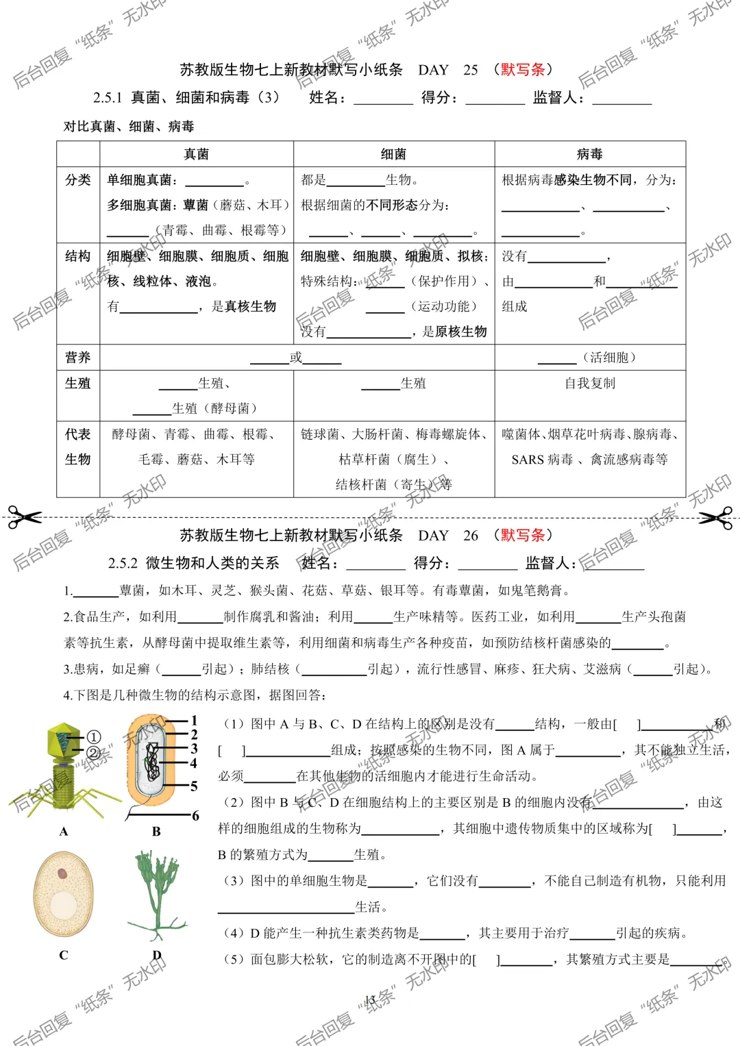 【1】2026初中生物七年级上册中考默写小纸条 第13张